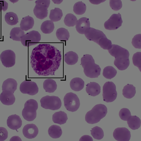 blood-cell